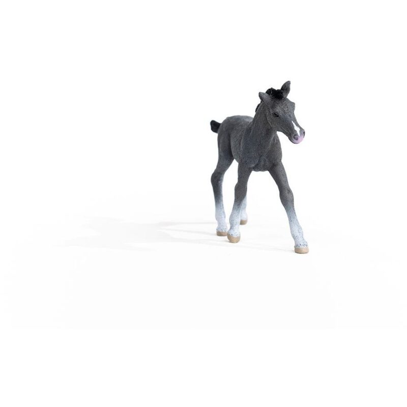 "Schleich Horse Club 13944 Trakehner Fohlen" – Bild 5