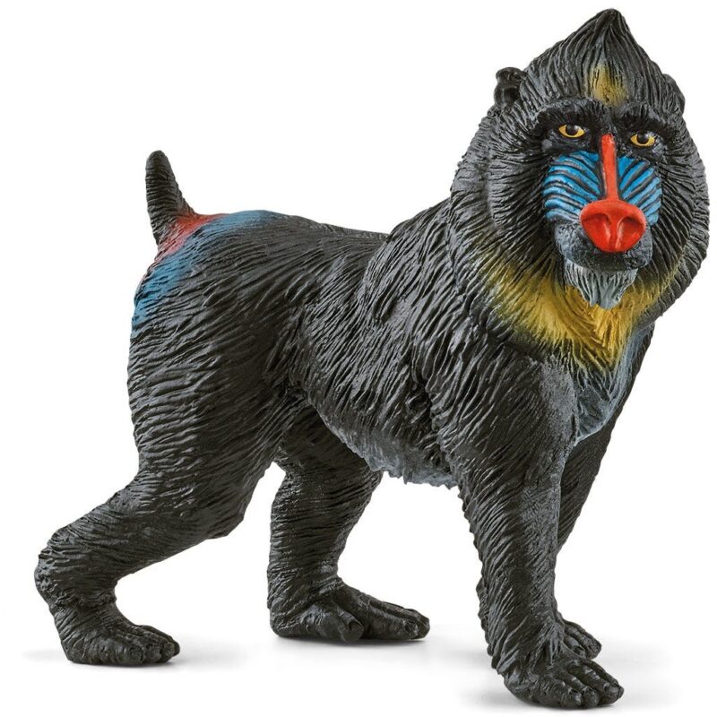 "Schleich Wild Life 14856 Mandrill"