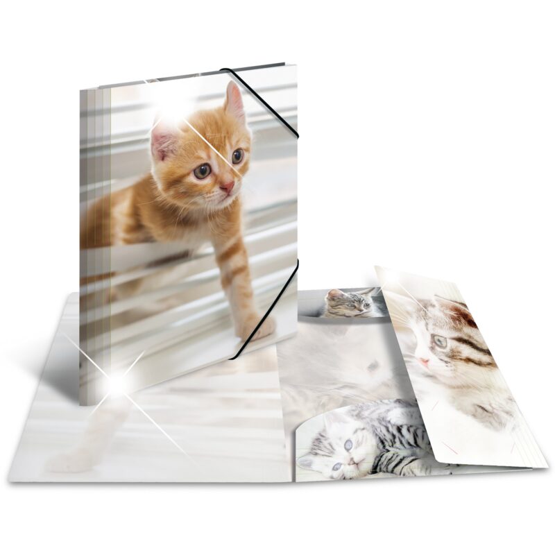 "HERMA Sammelmappe A4 Glossy Katze Polypropylen"