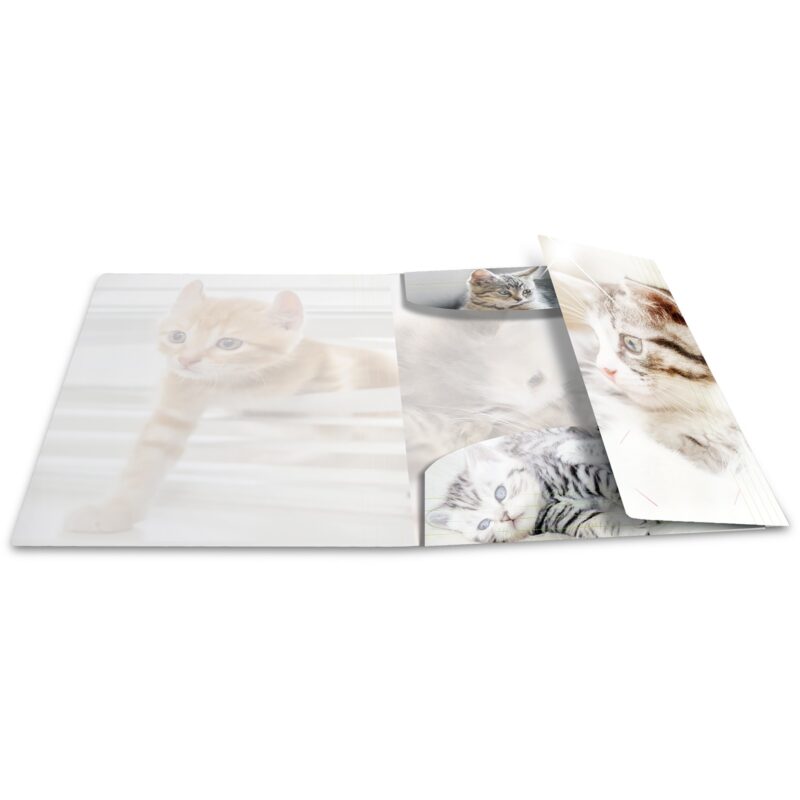 "HERMA Sammelmappe A4 Glossy Katze Polypropylen" – Bild 4